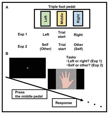 Visual Hand Recognition in Hand Laterality and Self-Other Discrimination Tasks: Relationships to Autistic Traits and Positive Body Image